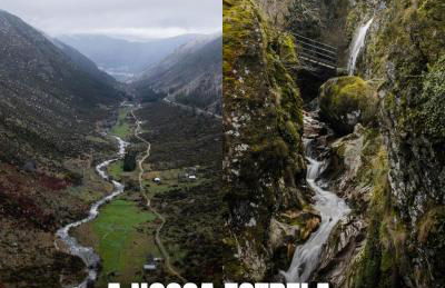 Dona Irene AL - Foto 71