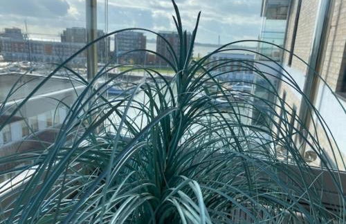 Port Marina "Schlagseite" - Foto 18