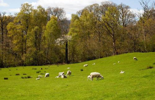 8 Bed in Applethwaite SZ373 - Foto 25