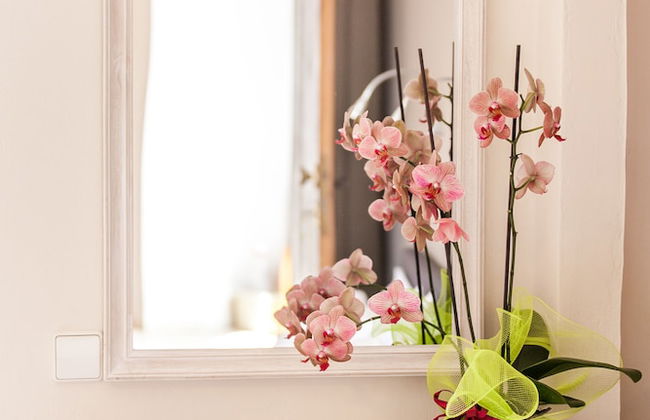 Orelia Pension - Foto 21