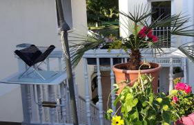 Ferienapartment MOHNBLUME - Foto 15