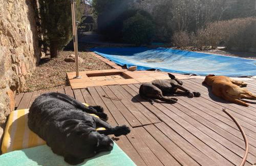 Casa El Encuentro - Turégano Segovia - Foto 36