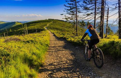 Garden Suburbs Cottage - Foto 14