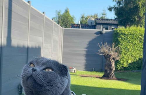 Holzhaus am Listersee - Foto 37