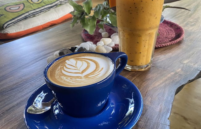 Surf N Sun - Foto 20