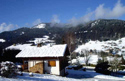 La Résidence de L'Ours - Foto 68