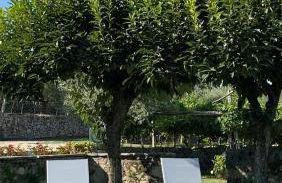 Palazzo Montanari Art & Wine Relais - Foto 73