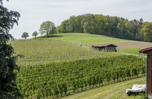 Ferienwohnung Bauernpfad - Foto 18