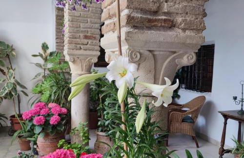 El patio de Regina - Foto 34