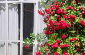 Mas de charme Jas de Berrias piscine proche Les Vans Ruoms Gorges Ardèche - Foto 26