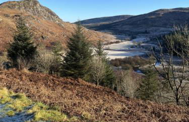 Apple Cottage - Photo 63