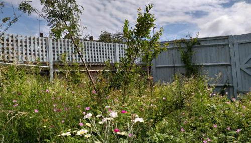 The Studio is bright, airy and comfortable. - Foto 5