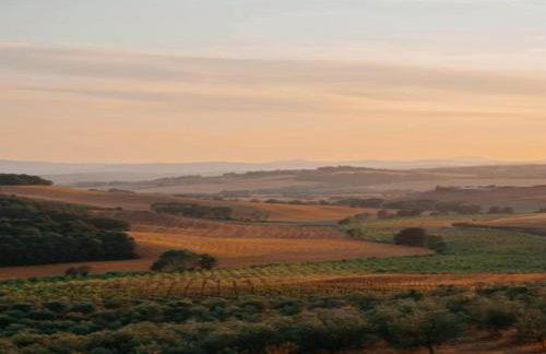 Farmhouse in Buonconvento - Foto 60