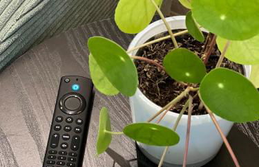 Little Rose - modern, central with WiFi & parking - Foto 43