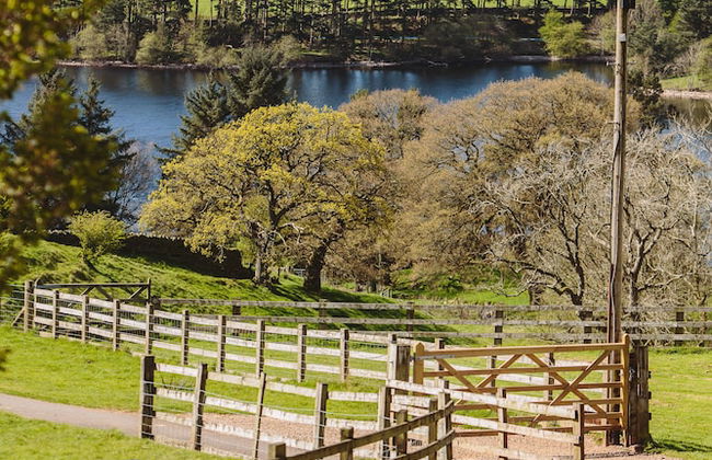 Ash Cottage - Foto 8