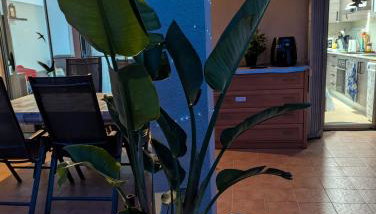 Casa Felicitas - Foto 3
