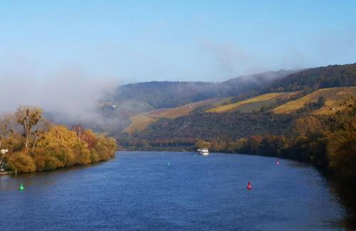 Ferienwohnung am Zehntkeller - Foto 10