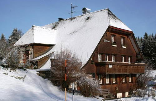 Apartment in Dachsberg-urberg - Foto 2