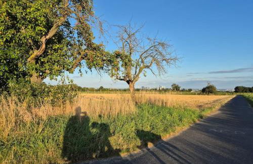 Bungalow, Uneinsehbar, 8 Personen maximal, 3 Personen oben, 5 unten - Foto 29