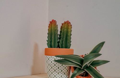 Flat Noronha Dreams - Foto 28