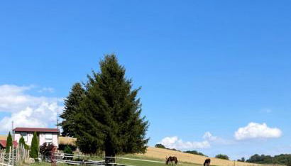 Ferienhaus Falkenblick - Foto 2