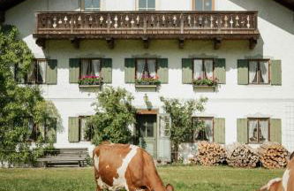 Biohof Dimper - KuhHorn - Foto 1