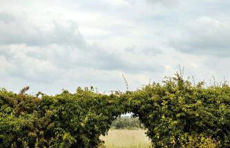 Finest Retreats - Foxley Lodge - Foto 22