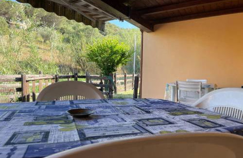 FAN SARD Villetta 10 posti letto FBU-ZAN01 - Foto 13