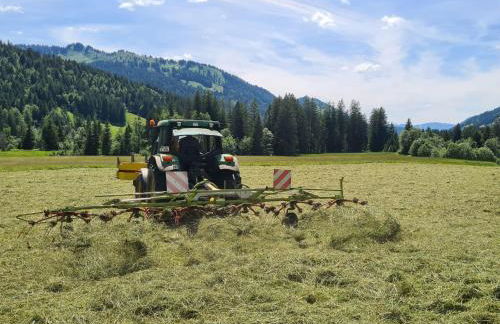 Ferienhof "Alpe Berg" - Photo 17