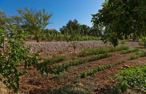 Borgo Del Tempo Ritrovato - Luxury Relais in Puglia - Foto 60