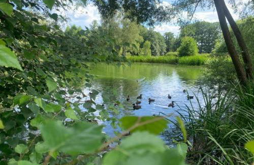 Family Comfort in Güntersberge - Foto 23