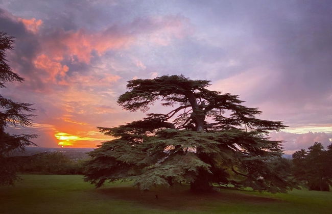 Château Gassies - Foto 57