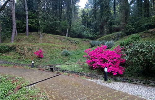 Il Bosco di Campo Marzano Garden Apartments - Foto 16