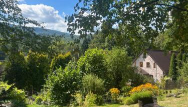 Pod Piekiełkiem - Foto 1, Garden, Garden view