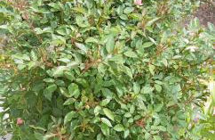 Maria's sala - Foto 17