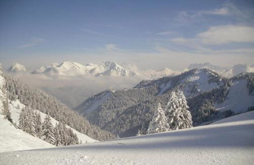 2 Pièces au Pied des Pistes - Saint-Jean-d'Aulps - FR-1-573-101 - Foto 22