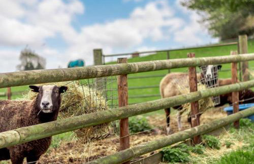 2 Bed in Abergavenny oc-90234 - Photo 19