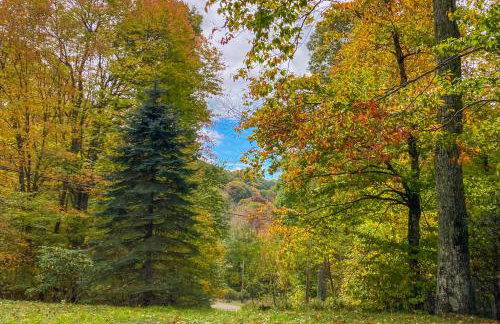 Mars Hill Cabin with Pool Table about 2 Mi to Wolf Ridge - Foto 32