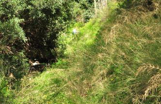 Traditional House Utopia in Pefki, Makry Gialos - Foto 26