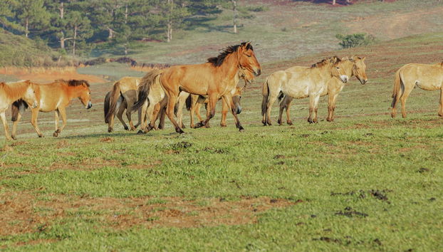 Trilha pela montanha Langbiang