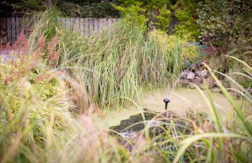 Calm Scottish Country Escape with Hot Tub Sleeps 6 - Foto 32