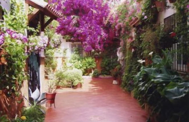 Apartamentos Embrujo de Azahar - Foto 55