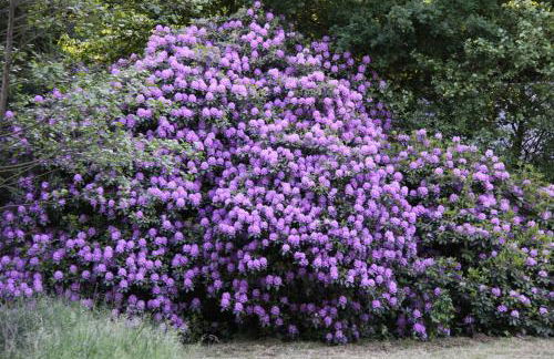 Ferien im Bomlitztal - Foto 45