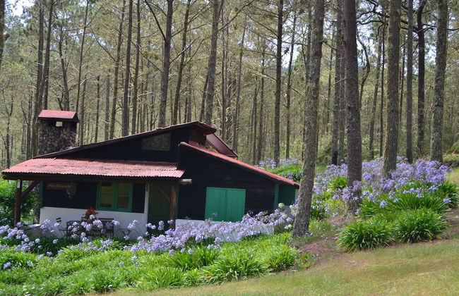 Villa Pajon Eco Lodge - Foto 3