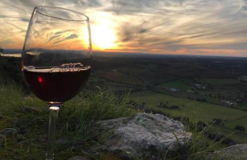 Casa das Videiras - Foto 12