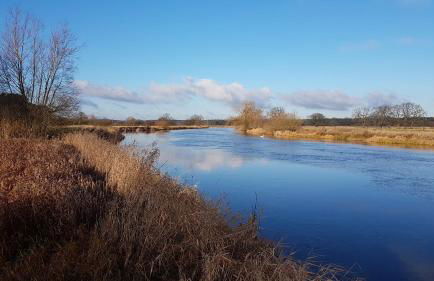Ferienhaus im Grünen - Photo 30