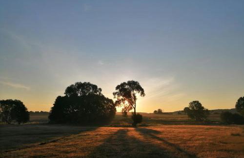 Smocze Ranczo - Foto 43