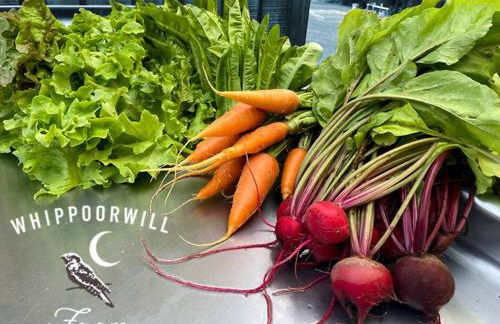 Cabin on Wheels • Cozy Forest and Farm Retreat - Photo 9