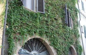 Tre Girasoli - Foto 40