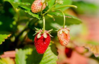 Casa do Compasso - Photo 39